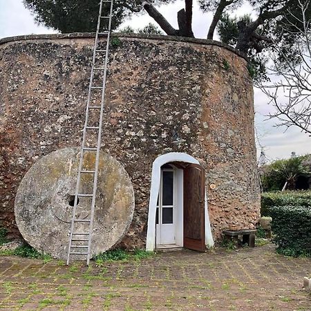 Masseria Gatto Bianco Provenzani Casalabate Exterior foto