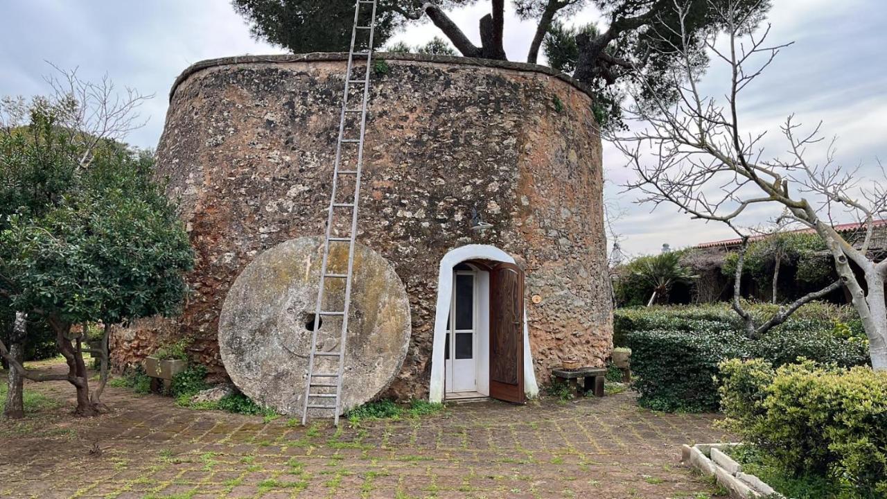 Masseria Gatto Bianco Provenzani Casalabate Exterior foto